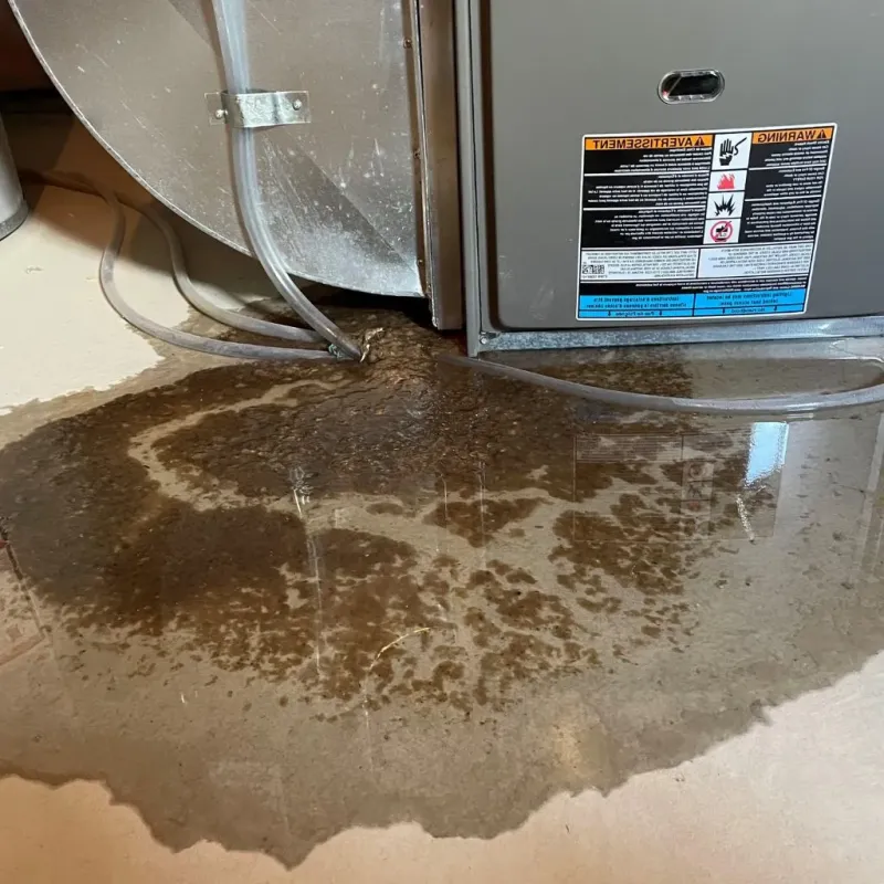 Pipe Burst and Leak Restoration in Johnson County, WY