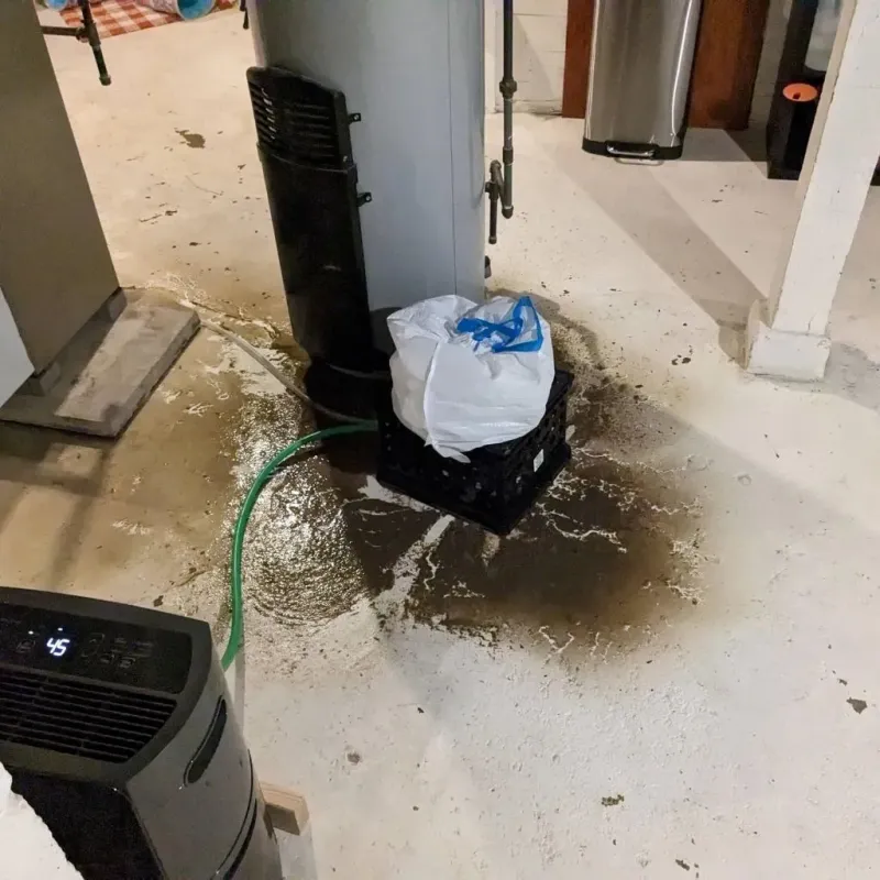 Sewage Backup Cleanup Service in Johnson County, WY